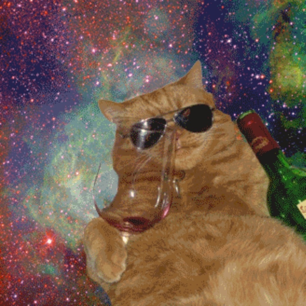 Galaxy wine cat